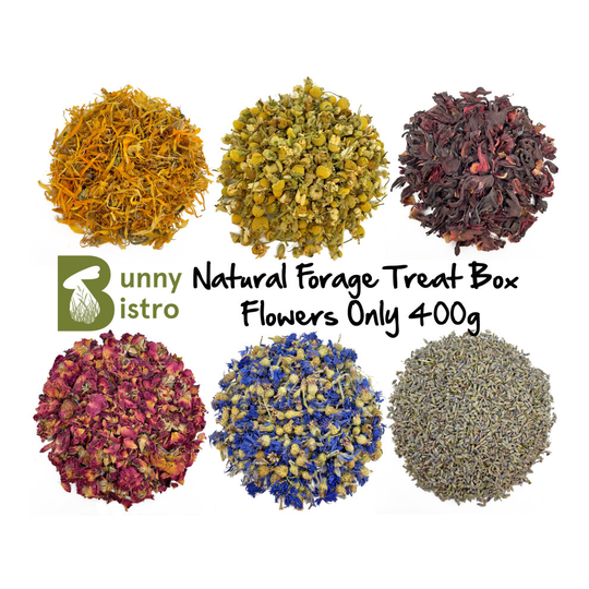 (Flower Only (400g)) Bunny Bistro Natural Forage Treat Box - Botanical Natural Food