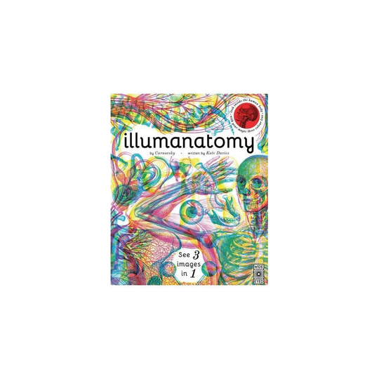 Illumanatomy: See inside the human body with your magic viewing lens