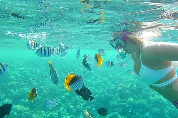 Marsa Mubarak Snorkeling with Dugong and Turtles in Marsa Alam