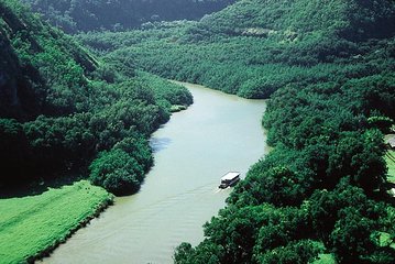 Kauai Shore Excursion: Wailua River Cruise and Fern Grotto Tour