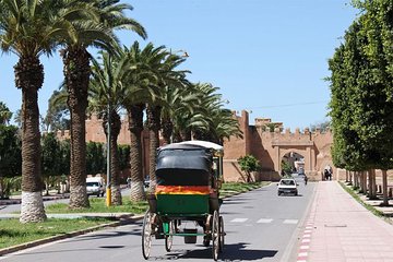 taroudant & tiout excursion from taghazoute bay & paradise beach surf & yoga
