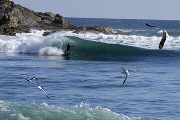 15-Day Surf Camp Tour through Central Chile