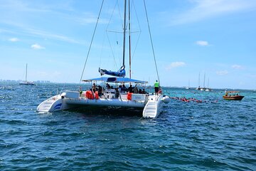 Tour to Isla Mujeres with Snorkel, Buffet Lunch, Beach Club and drinks