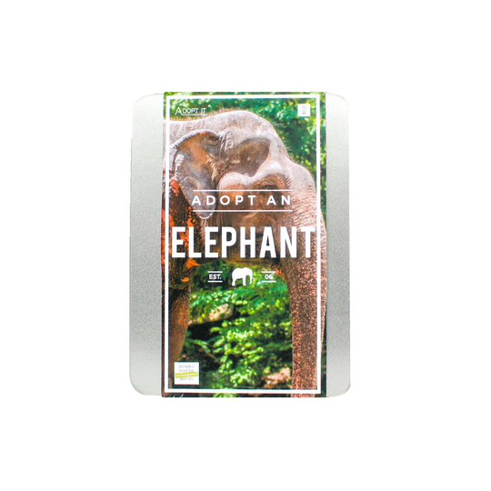 Gift Republic, Adopt An Elephant Gift Box