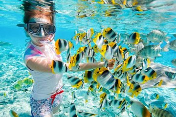 Red Sea Snorkeling Hurgada