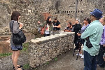 Pompeii and Herculaneum shared shore excursion