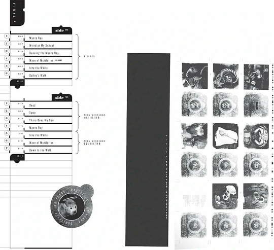 Pixies - Doolittle 25: B-Sides, Peel Sessions & Demos (3 LP)