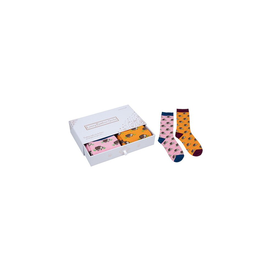 Hedgehog Ladies Luxury Bamboo Socks In Gift Box Two Pairs One Size Fits All