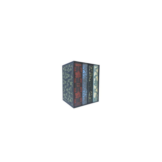 Bronte Sisters (Boxed Set), The: Jane Eyre, Wuthering Heights, The Tenant of Wildfell Hall, Villette