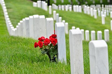 Grand Tour of Washington DC with Arlington Cemetery Entry & Trolley Pass