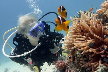 Hurghada Snorkeling Trip to Giftun Island