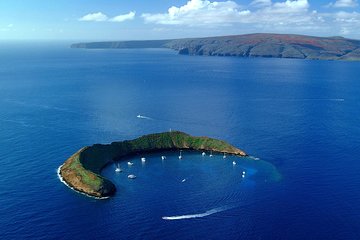 From Ma'alaea Harbor: Molokini & Turtle Town Snorkeling Adventure Aboard Malolo