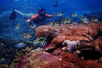 Day Trip From Nusa Lembongan with Snorkeling