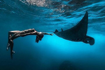 Nusa Penida Snorkeling Adventure (Private & All-Inclusive)
