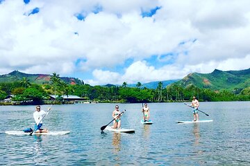 Stand Up Paddle Rental- Wailua River to Secret Falls