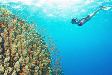 Nha Trang Premium Snorkeling Trip - Explore 4 islands by SPEEDBOAT (MAX 8 PAX)