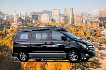Private Van Tour For Seoul (Up to 10 or 16 pax)