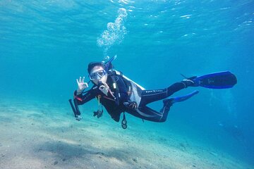 Tiran Island Full Day Snorkeling Sea Trip & intro dive 15 min - Sharm El Sheikh