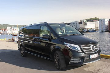 TRANSFER, LUXURY VAN 1-7 PAX: Bergen - Lofthus