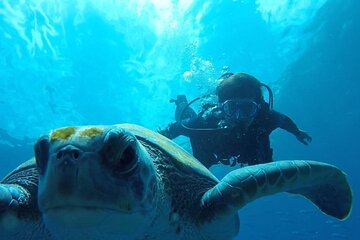 Daymaniyat Islands Scuba, Snorkeling, Boat tour, and Camping