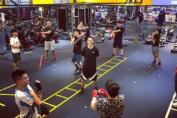 Professional Boxing Training Experience!