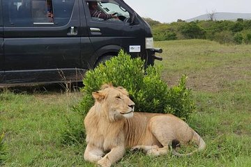 8 days kenya Tanzania combined holiday safari adventure