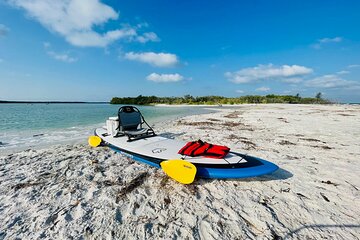 Motorized Hybrid Kayak Tour at Shell Key Preserve