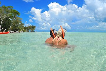 Amazing Day trip in Key West with Boat, Snorkeling Tour, Music and Free Open Bar