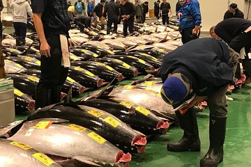 VIP Tuna Auction and Special Access at Toyosu Fish Market