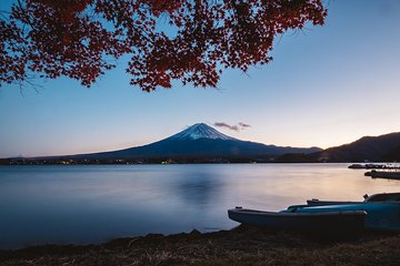 Mt Fuji 1day Scenic Private Car Tour from Tokyo with "English Speaking Driver"