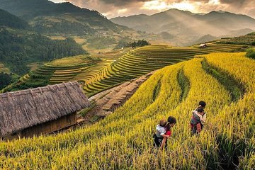 Sapa 2 Days - 1 Night (overnight in Ta Van Village) & Hanoi Walking Tour