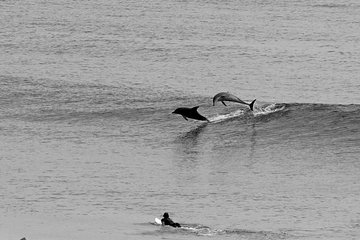 Overnight Tweed Coast Camping and Surfing Getaway From The Gold Coast