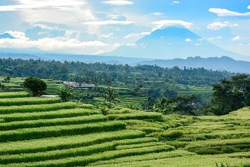 Bali Private Driver Charter with English Speaking Driver