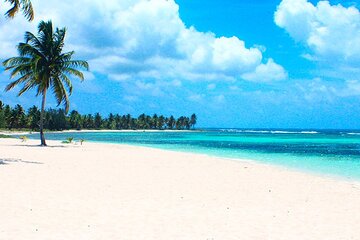 6 in 1 Full Day Isla Saona Tour and Snorkel in Natural Pool Mangroves Cap Cana