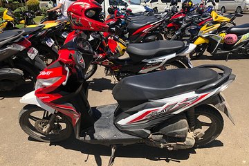 Bohol Transport - Car-Van-MotorBike