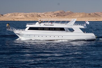 Tiran Island full day snorkeling Sea trip With Lunch, Transfer - Sharm El sheikh