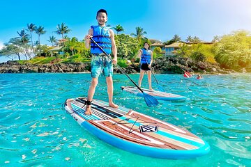 Private Stand Up Paddle Boarding Tour in Maui