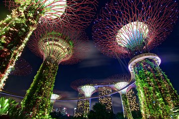 Gardens By The Bay Night Long-Exposure Photography