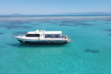 Guided Outer Reef Snorkelling Tour | Our boat only takes 12 customers in total