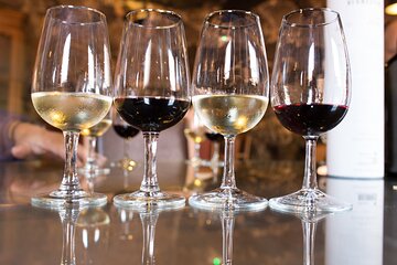 Wine Private Tour in Setúbal Region and Arrábida - All Included