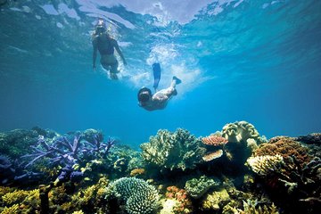 Snorkeling in Blue Lagoon Padang Bai Bali : Snorkel in the clear blue waters