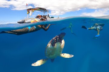 2.5 Hour Eco-Raft West Maui Turtle Town Snorkel Tour