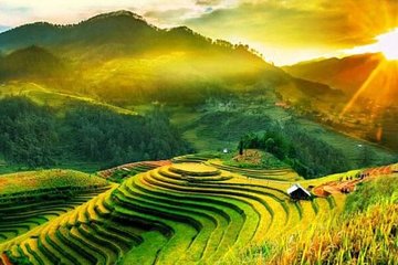5 days 4 nights Hanoi - Sapa - Ninh Binh tour