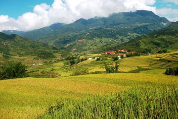 Sapa trekking and homestay tour by bus 2D1N