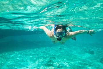 Cades Reef Snorkel Cruise from St. John's Antigua