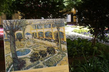 Van Gogh in Arles & St Remy, Wine Tour in Chateauneuf du Pape from Avignon