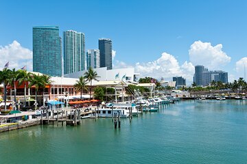 Miami Full Day Sightseeing Tour with Luxury Van Transportation