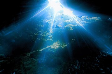 Sea Cave Snorkel Adventure - Navy SEAL speed boat, 14 guest Max!