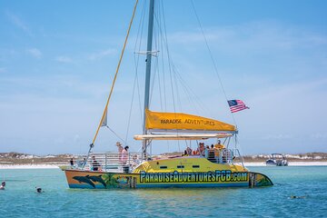 Catamaran Snorkel and Dolphin Watch Tour in Panama City Beach