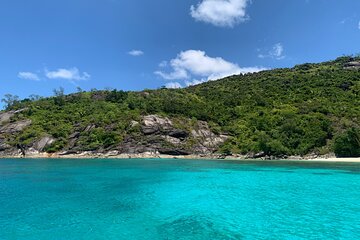 Reef Safari - Snorkeling, Fish Feeding & Lunch (Shared Day Trip)